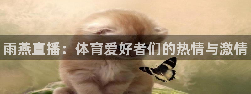 新闻图片