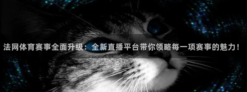 法网体育赛事全面升级：全新直播平台带你领略每一项赛事的魅力！